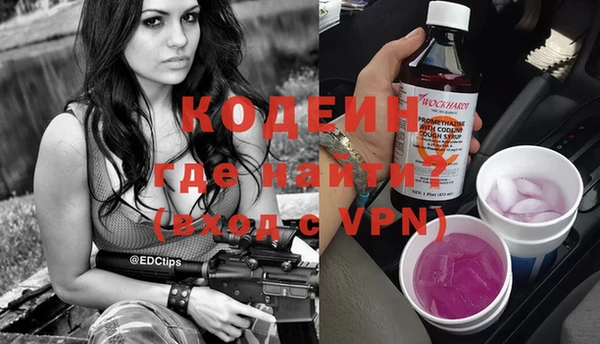 индика Балабаново