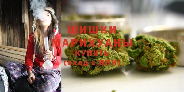spice Арсеньев