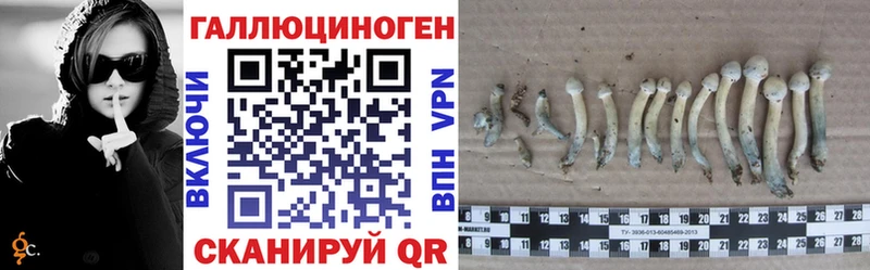 даркнет сайт  Видное  Галлюциногенные грибы Psilocybine cubensis 